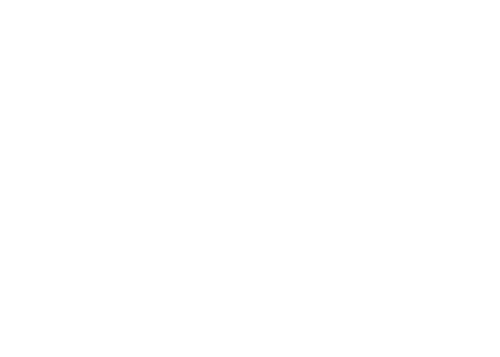 Bear Brothers Roofing
